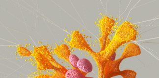 Google News And Organic Growth: Unlock Your Site’s True Potential