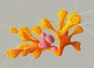 Google News And Organic Growth: Unlock Your Site’s True Potential