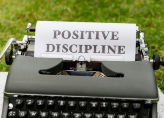 Google News Vs. Traditional SEO: Which Strategy Drives More Traffic?