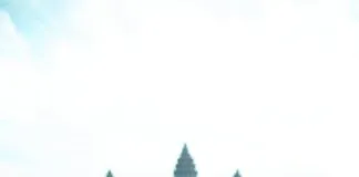 Top Reasons Site Owners Should Care About Google News Now