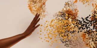 The Role Of Structured Data In Google News: Unlock Powerful Insights