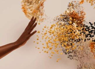 The Role Of Structured Data In Google News: Unlock Powerful Insights