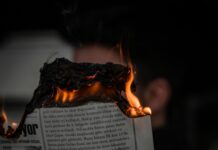 The Impact Of Google News On Emerging News Publishers Revealed