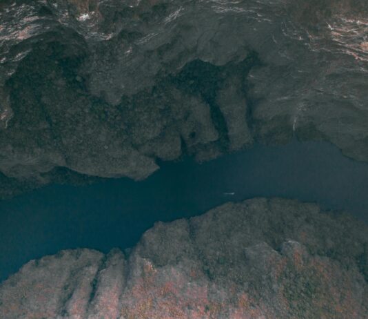 The Hidden Power of Google News: Unlock Website Growth Secrets