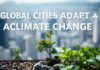 Global Cities Adapt to Climate Change: Innovations and Challenges Global Cities Adapt to Climate Change: Innovations and Challenges