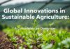 Global Innovations in Sustainable Agriculture: A Comprehensive Overview Global Innovations in Sustainable Agriculture: A Comprehensive Overview